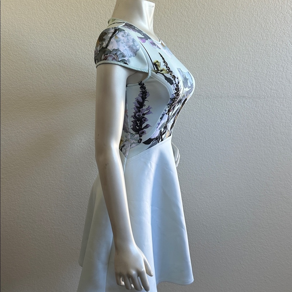 Ted Baker Faythe Blue Torchlit Floral Print Skater Dress View 6